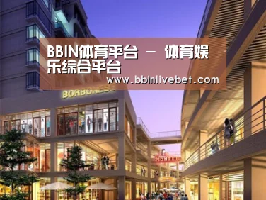 案例展示一