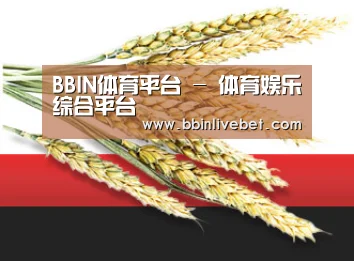 BBIN体育平台 - 体育娱乐综合平台